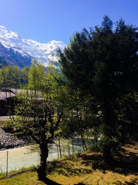 Studio Lumineux Avec Vue Sur Le Massif Du Mont-Blanc Chamonix Ngoại thất bức ảnh